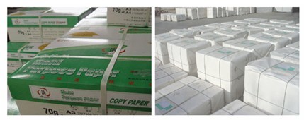 尊龙抖圈 - 为du而生