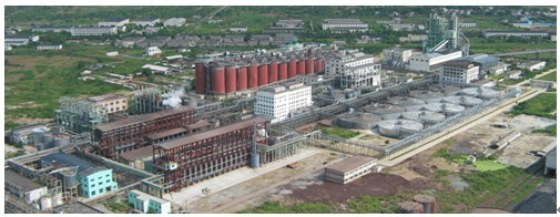 尊龙抖圈 - 为du而生